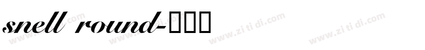 snell round字体转换